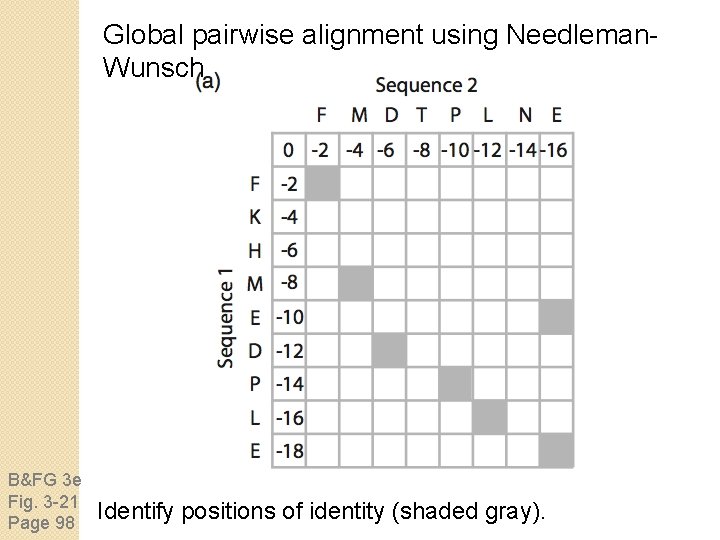 Global pairwise alignment using Needleman. Wunsch B&FG 3 e Fig. 3 -21 Page 98