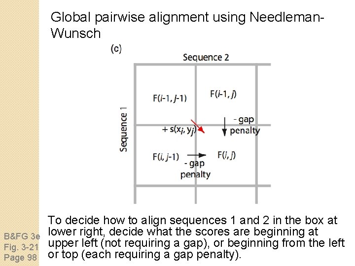 Global pairwise alignment using Needleman. Wunsch B&FG 3 e Fig. 3 -21 Page 98