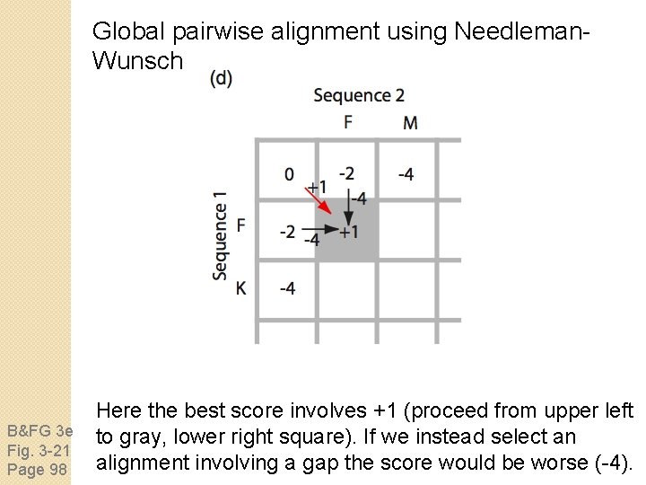 Global pairwise alignment using Needleman. Wunsch B&FG 3 e Fig. 3 -21 Page 98