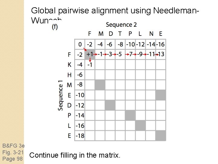 Global pairwise alignment using Needleman. Wunsch B&FG 3 e Fig. 3 -21 Page 98