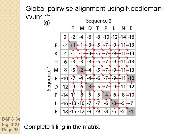 Global pairwise alignment using Needleman. Wunsch B&FG 3 e Fig. 3 -21 Page 98