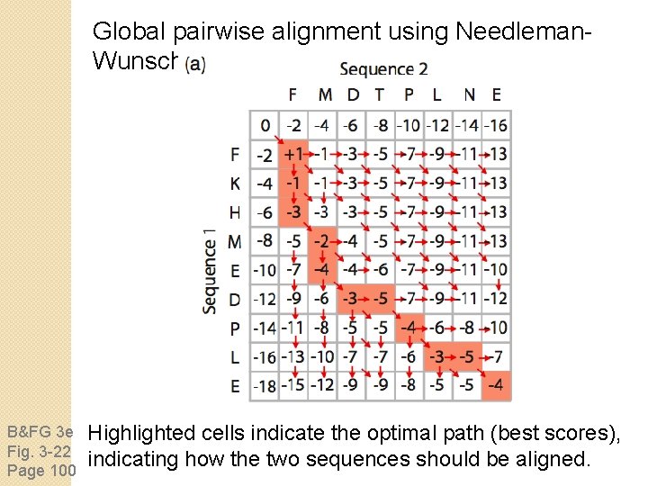 Global pairwise alignment using Needleman. Wunsch B&FG 3 e Fig. 3 -22 Page 100