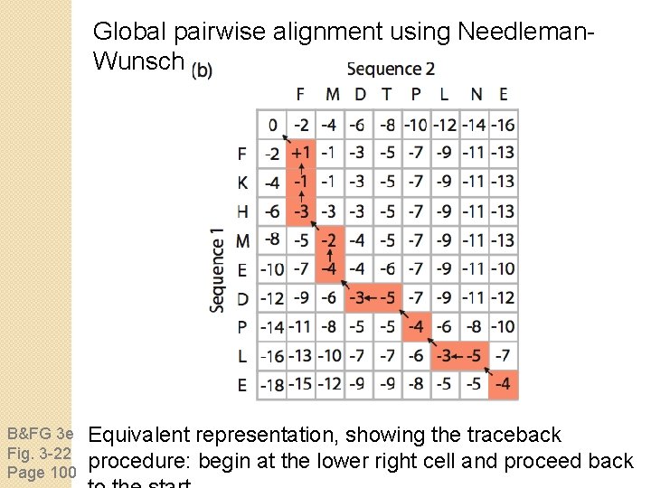 Global pairwise alignment using Needleman. Wunsch B&FG 3 e Fig. 3 -22 Page 100