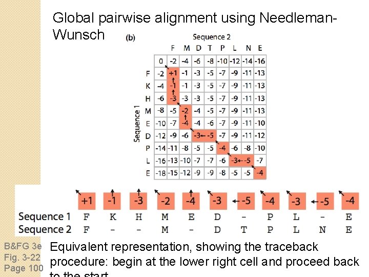 Global pairwise alignment using Needleman. Wunsch B&FG 3 e Fig. 3 -22 Page 100