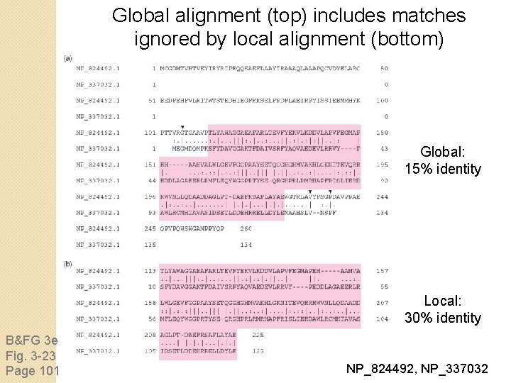 Global alignment (top) includes matches ignored by local alignment (bottom) Global: 15% identity Local: