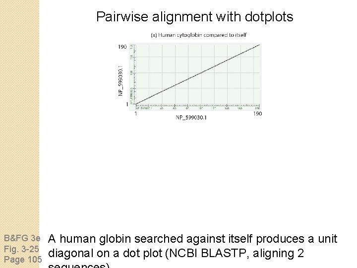 Pairwise alignment with dotplots B&FG 3 e Fig. 3 -25 Page 105 A human