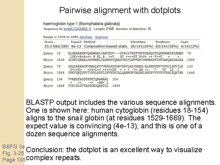 Pairwise alignment with dotplots BLASTP output includes the various sequence alignments. One is shown