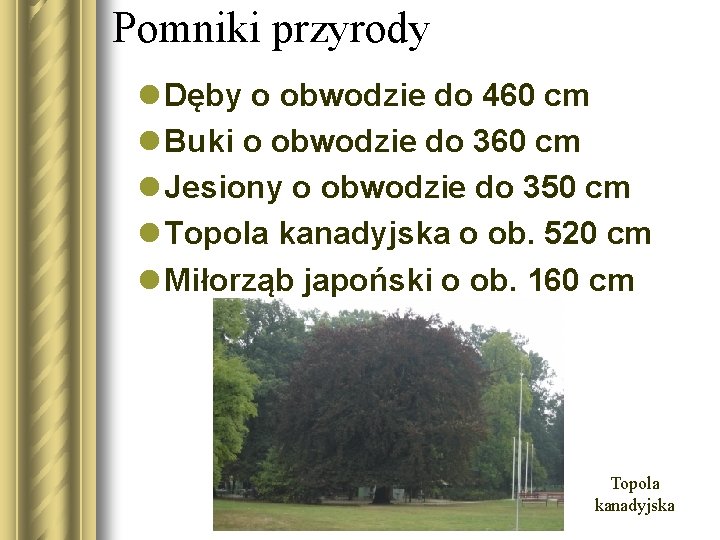 Pomniki przyrody l Dęby o obwodzie do 460 cm l Buki o obwodzie do Pomniki przyrody l Dęby o obwodzie do 460 cm l Buki o obwodzie do