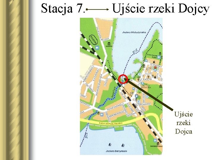 Stacja 7. Ujście rzeki Dojcy Ujście rzeki Dojca 