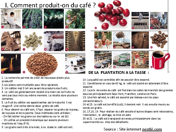 I. Comment produit-on du café ? DE LA PLANTATION A LA TASSE : 1.