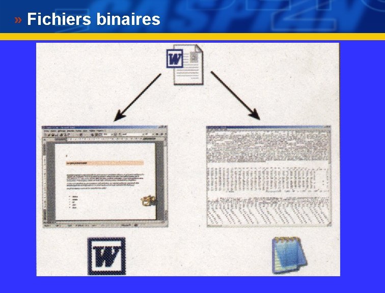 Fichiers binaires 