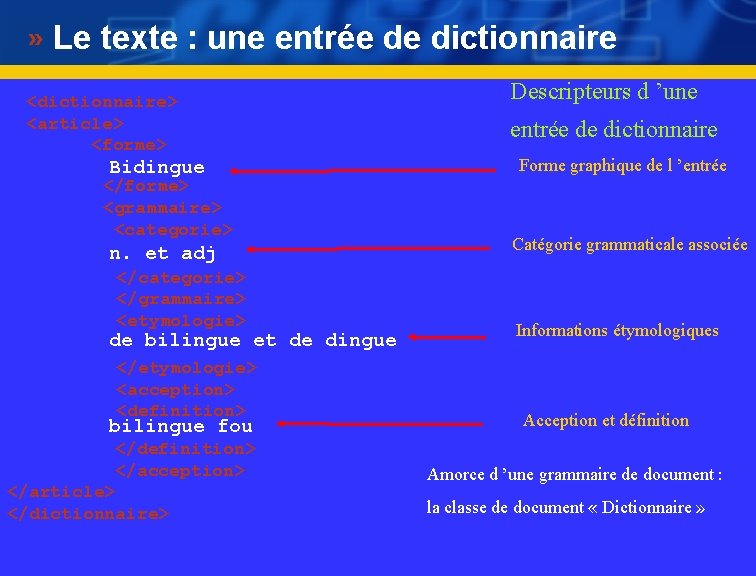 Le texte : une entrée de dictionnaire <dictionnaire> <article> <forme> Bidingue </forme> <grammaire> <categorie>