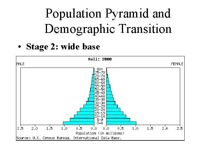 Population Pyramid and Demographic Transition • Stage 2: wide base 