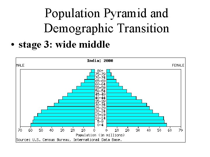 Population Pyramid and Demographic Transition • stage 3: wide middle 