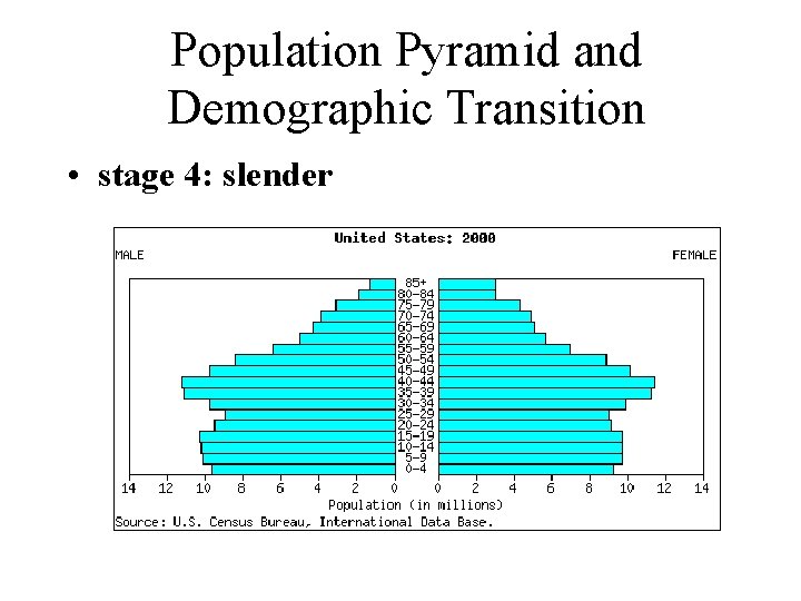 Population Pyramid and Demographic Transition • stage 4: slender 