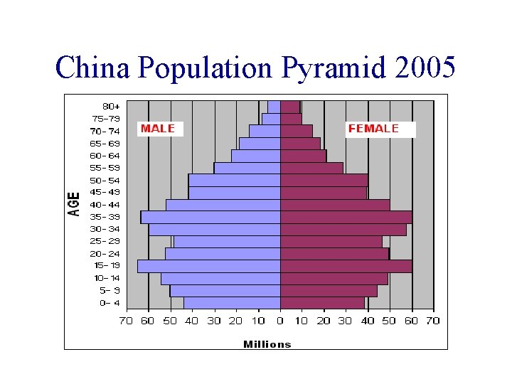 China Population Pyramid 2005 