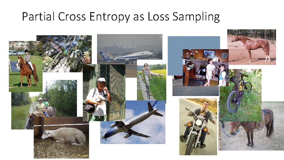 Partial Cross Entropy as Loss Sampling Partial Cross Entropy as Loss Sampling