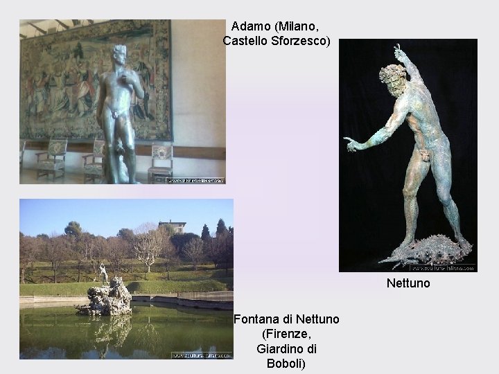 Adamo (Milano, Castello Sforzesco) Nettuno Fontana di Nettuno (Firenze, Giardino di Boboli) 