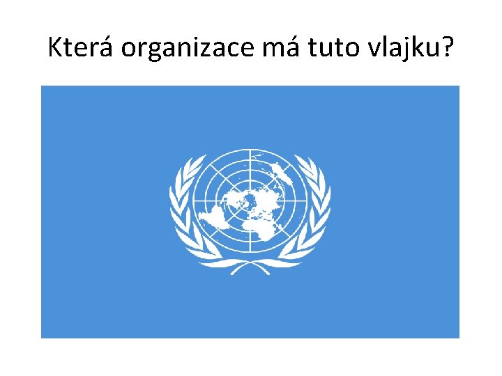 Která organizace má tuto vlajku? 