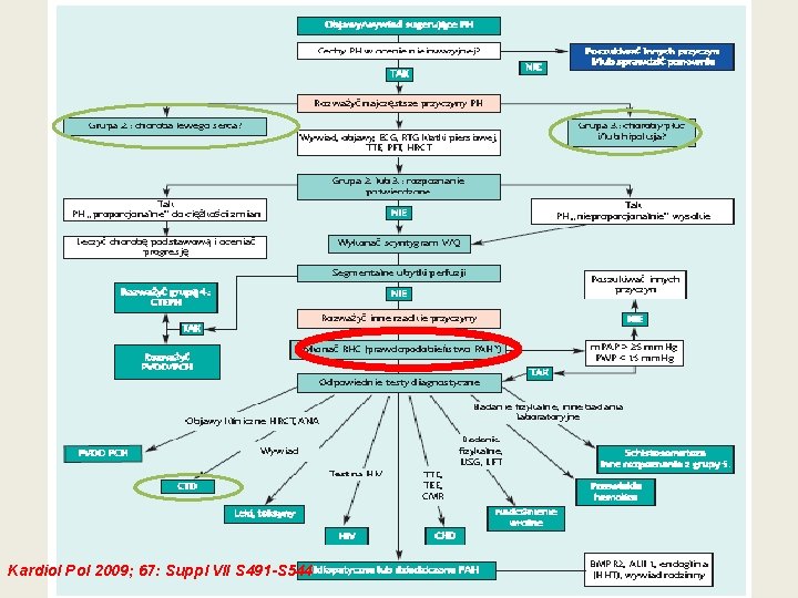 Kardiol Pol 2009; 67: Suppl VII S 491 -S 544 