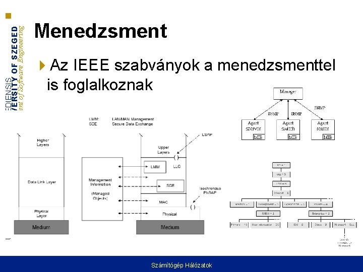 UNIVERSITAS SCIENTIARUM SZEGEDIENSIS UNIVERSITY OF SZEGED Department of Software Engineering Menedzsment Az IEEE szabványok