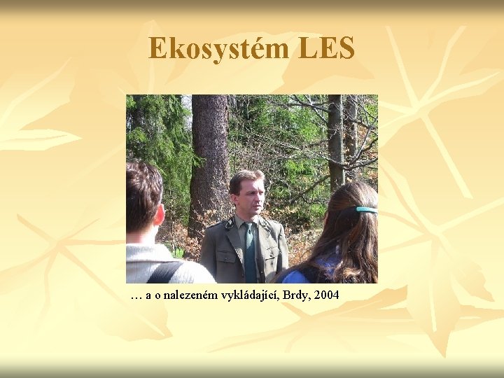 Ekosystém LES … a o nalezeném vykládající, Brdy, 2004 