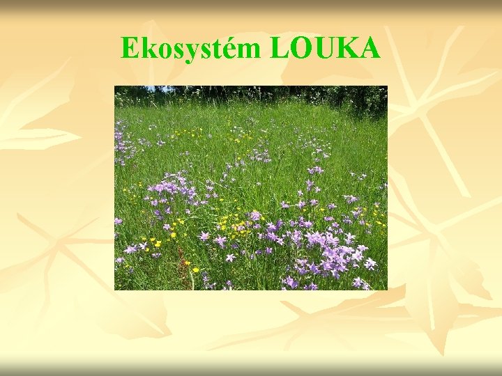 Ekosystém LOUKA 