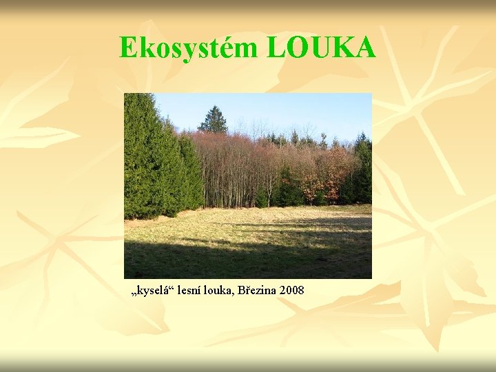 Ekosystém LOUKA „kyselá“ lesní louka, Březina 2008 
