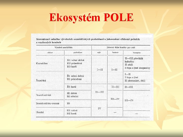Ekosystém POLE 