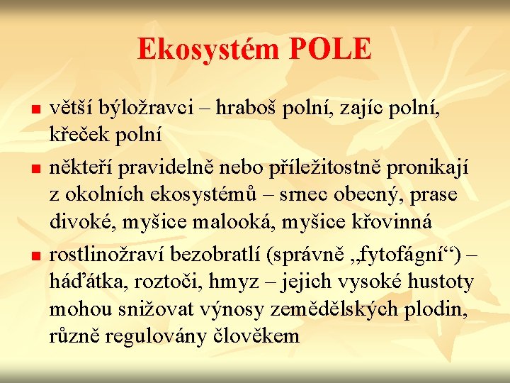 Ekosystém POLE n n n větší býložravci – hraboš polní, zajíc polní, křeček polní