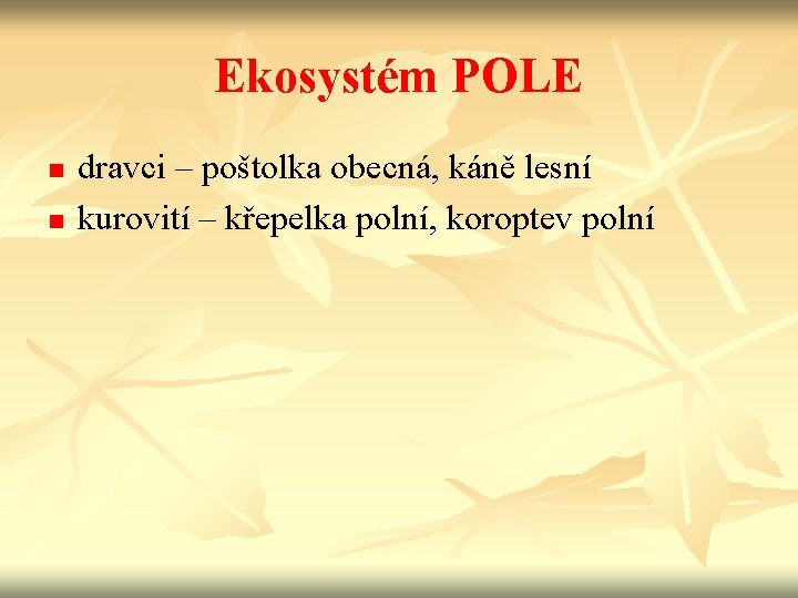 Ekosystém POLE n n dravci – poštolka obecná, káně lesní kurovití – křepelka polní,