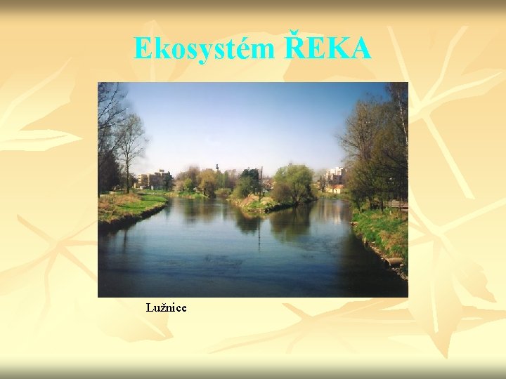 Ekosystém ŘEKA Lužnice 