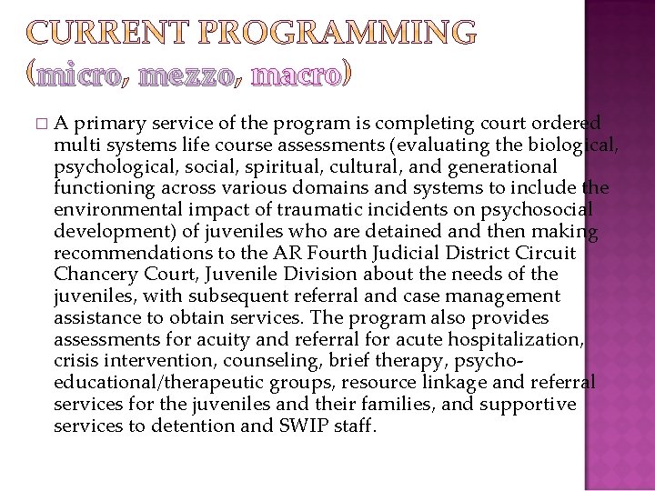 micro mezzo macro � A primary service of the program is completing court ordered