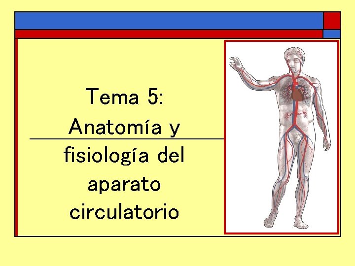 Tema 5: Anatomía y fisiología del aparato circulatorio 