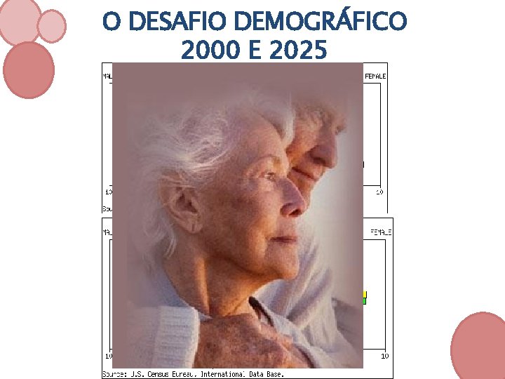 O DESAFIO DEMOGRÁFICO 2000 E 2025 