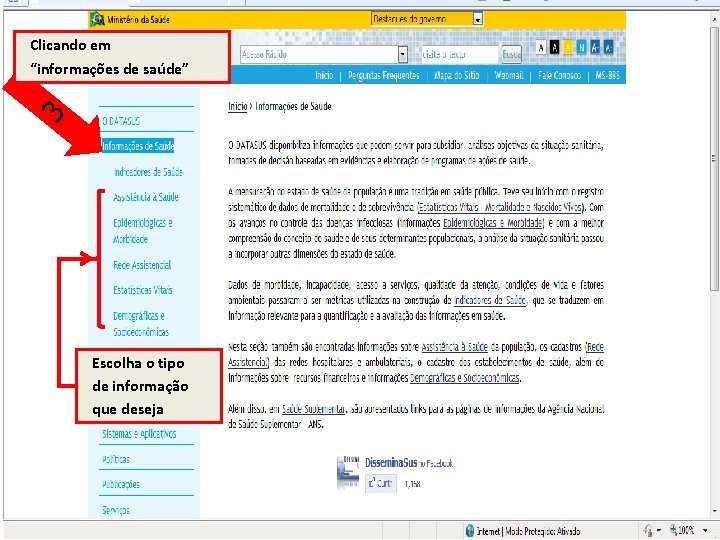 3 Clicando em “informações de saúde” Escolha o tipo de informação que deseja 