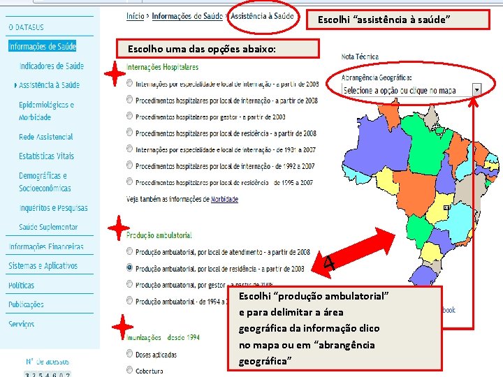 Escolhi “assistência à saúde” Escolho uma das opções abaixo: 4 Escolhi “produção ambulatorial” e