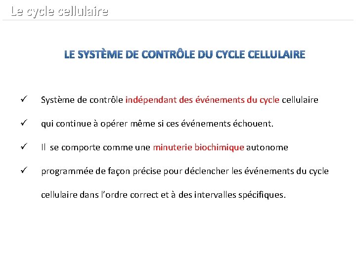  Le cycle cellulaire ü Système de contrôle indépendant des événements du cycle cellulaire