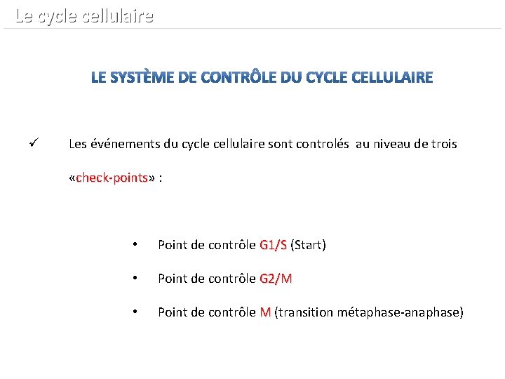  Le cycle cellulaire ü Les événements du cycle cellulaire sont controlés au niveau