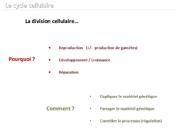  Le cycle cellulaire La division cellulaire… Pourquoi ? • Reproduction (+/- production de