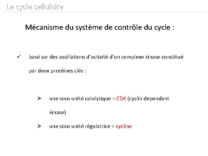  Le cycle cellulaire Mécanisme du système de contrôle du cycle : ü basé