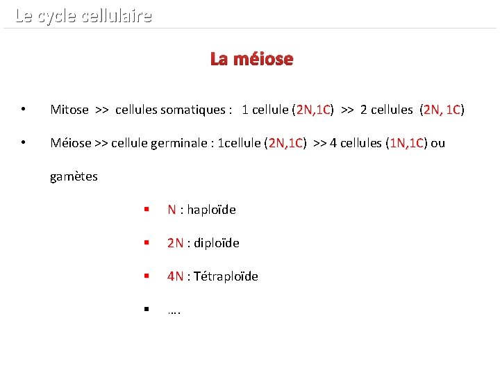  Le cycle cellulaire La méiose • Mitose >> cellules somatiques : 1 cellule