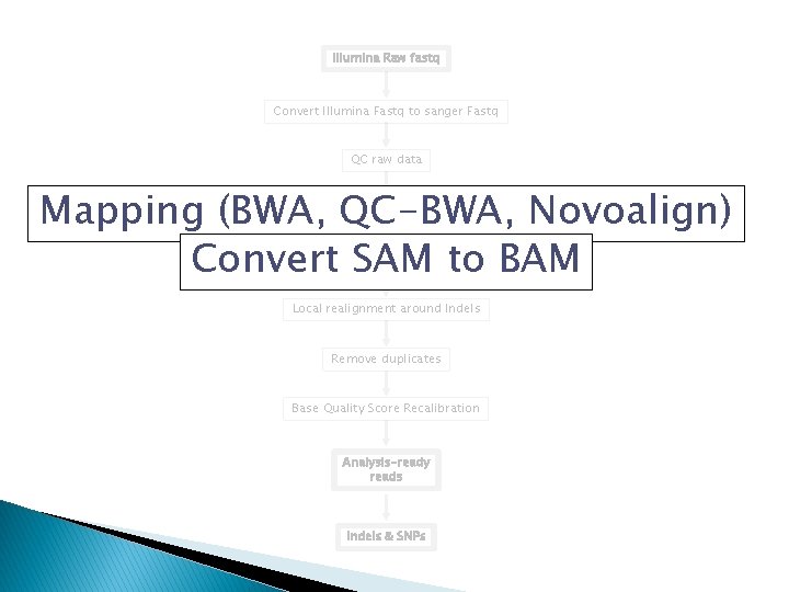 Illumina Raw fastq Convert Illumina Fastq to sanger Fastq QC raw data Mapping (BWA,