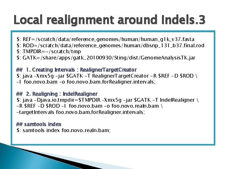 Local realignment around Indels. 3 $: $: REF=/scratch/data/reference_genomes/human_g 1 k_v 37. fasta ROD=/scratch/data/reference_genomes/human/dbsnp_131_b 37.