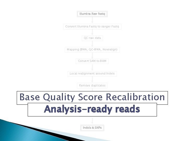 Illumina Raw fastq Convert Illumina Fastq to sanger Fastq QC raw data Mapping (BWA,