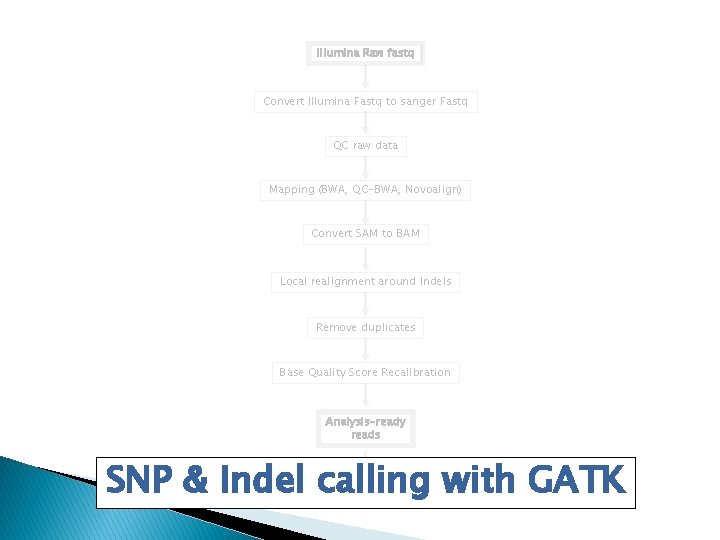 Illumina Raw fastq Convert Illumina Fastq to sanger Fastq QC raw data Mapping (BWA,