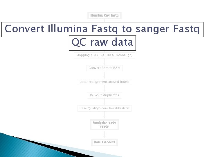 Illumina Raw fastq Convert Illumina Fastq to sanger Fastq QC raw data Mapping (BWA,