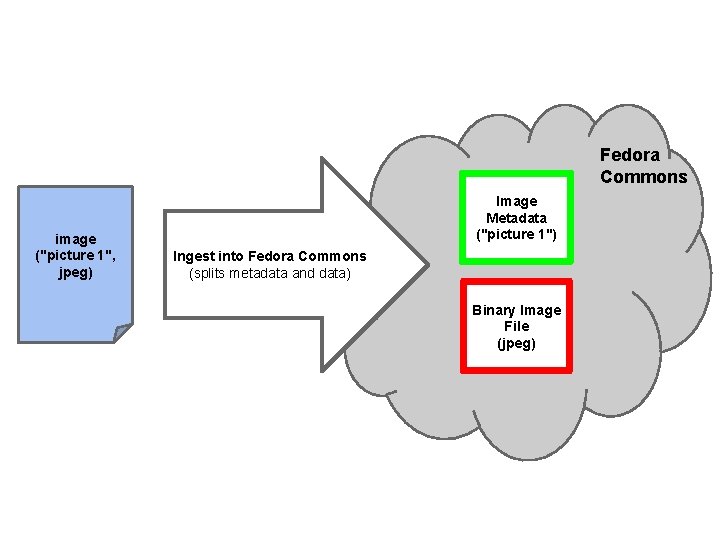 Fedora Commons image ("picture 1", jpeg) Image Metadata ("picture 1") Ingest into Fedora Commons Fedora Commons image ("picture 1", jpeg) Image Metadata ("picture 1") Ingest into Fedora Commons