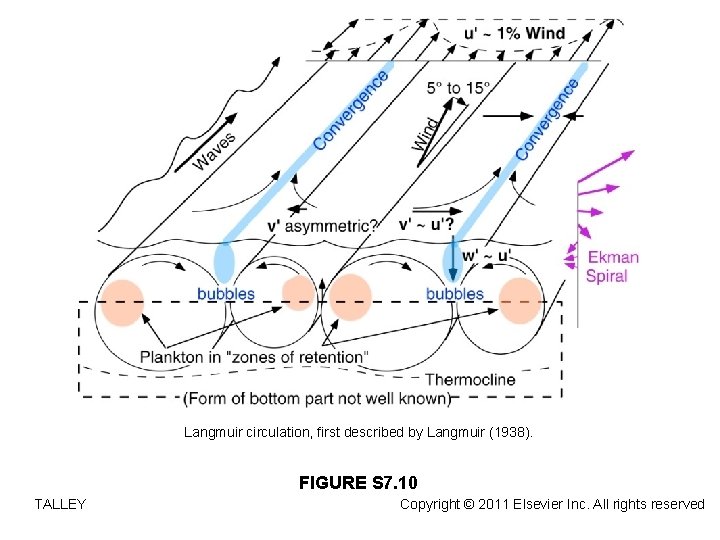 Langmuir circulation, first described by Langmuir (1938). FIGURE S 7. 10 TALLEY Copyright ©