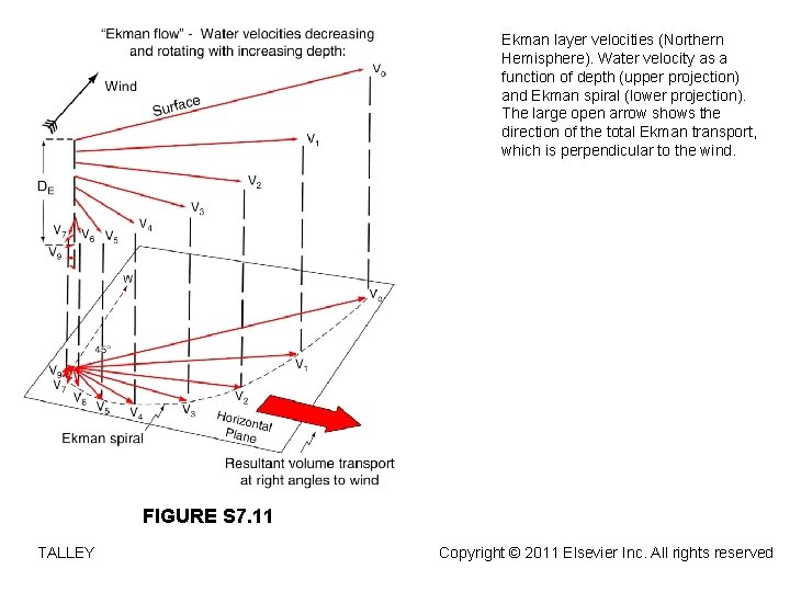 Ekman layer velocities (Northern Hemisphere). Water velocity as a function of depth (upper projection)